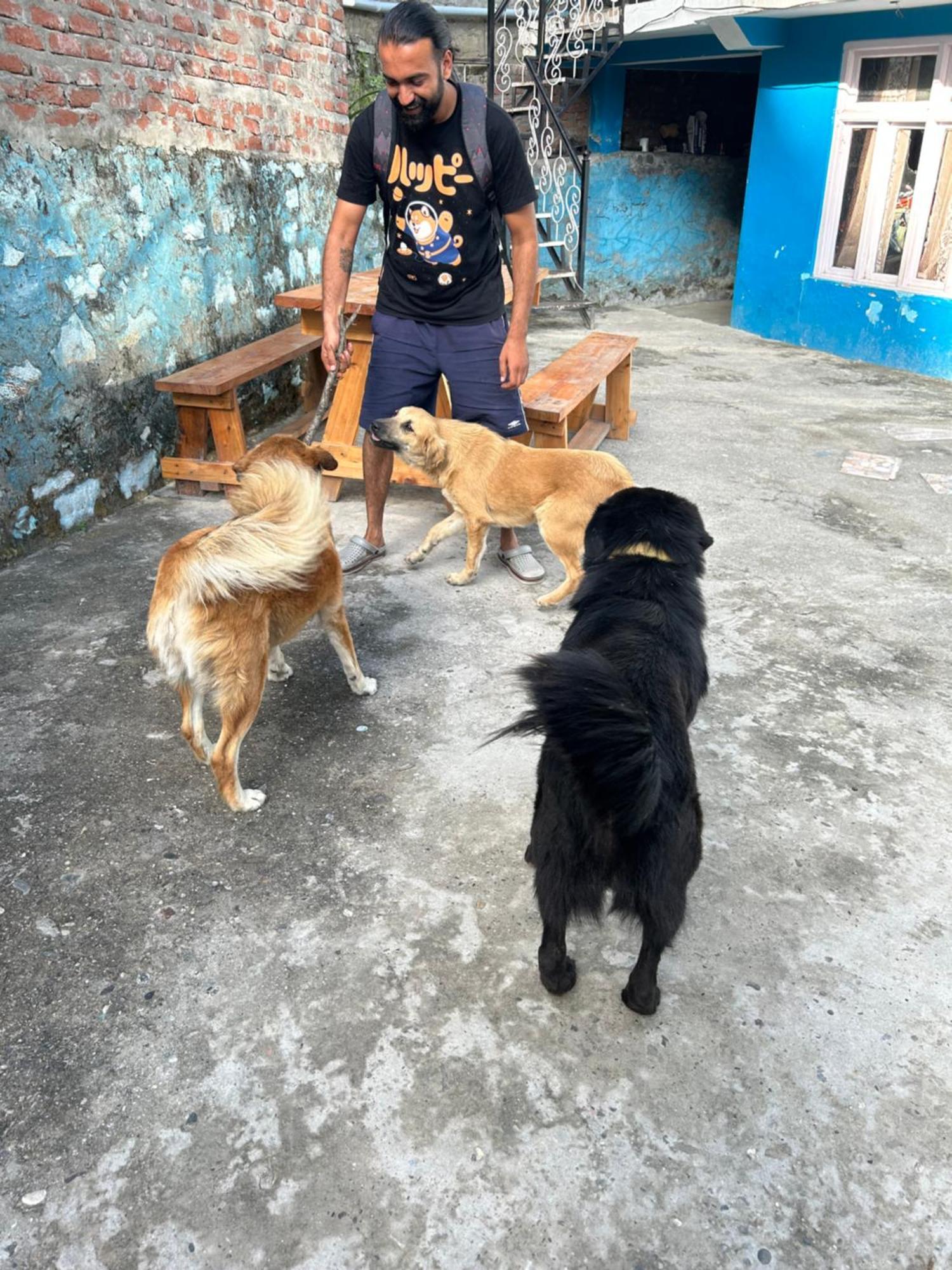 Formosa Hostel & Cafe Kasol Ngoại thất bức ảnh